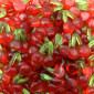 Ciliegie Caramelle Gommose 1kg