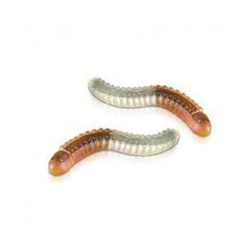 Serpenti Gommosi alla Cola...