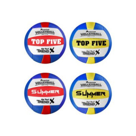 Pallone beach volley...