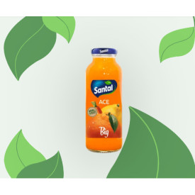 Santal Big ACE Bottiglietta...
