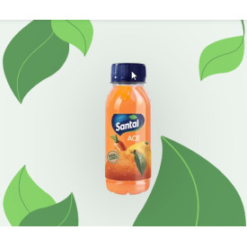 Santal Ace Pet 250ml