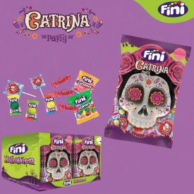 Halloween Catrina Party...