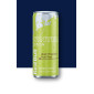 Red Bull Winter Edition...